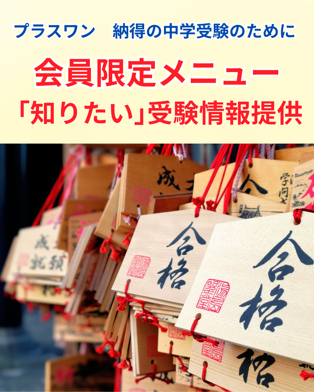 その他サポート・追加サービス